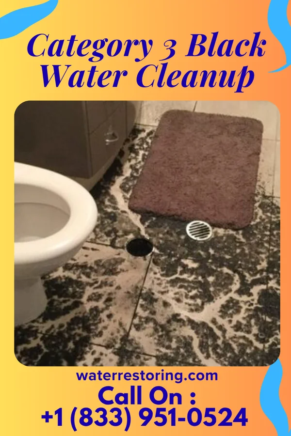 Category 3 Black Water Cleanup in Lastrup, MN