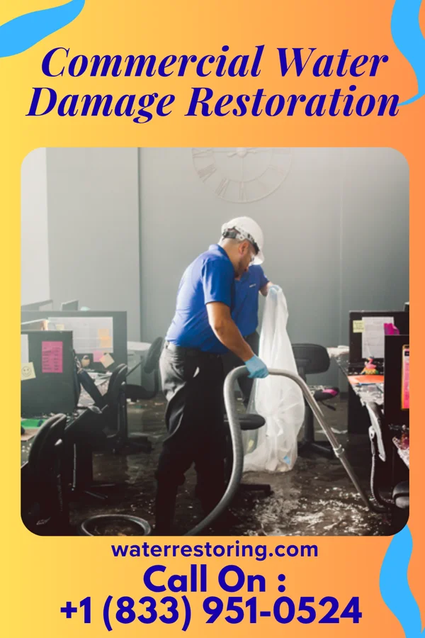 Commercial Water Damage Restoration in Lastrup, MN