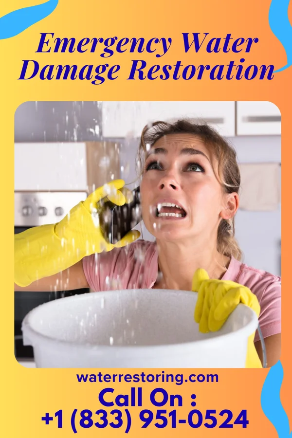 Emergency Water Damage Restoration in Lastrup, MN