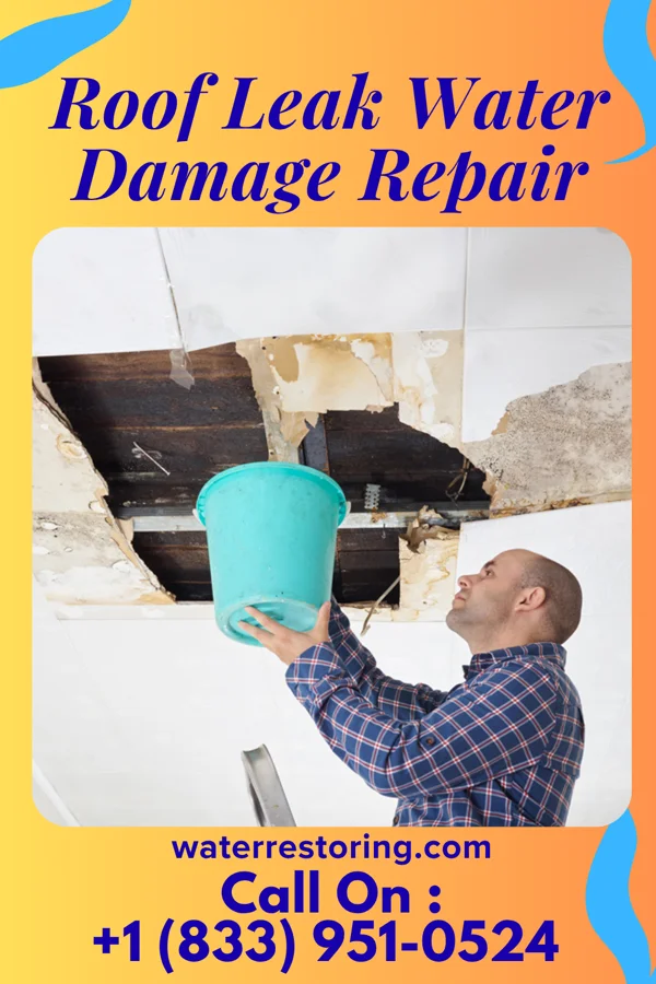 Roof Leak Water Damage Repair in Lastrup, MN